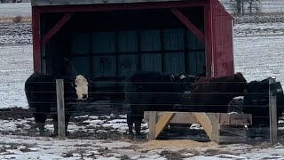 American Farm in winter ❄️🇺🇸