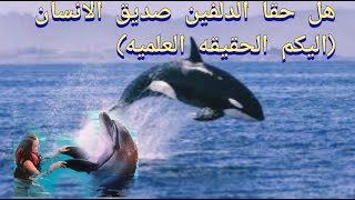 هل حقا الدولفين صديق الانسان( اليكم الحقيقه العلميه)