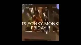 Monkey Friday