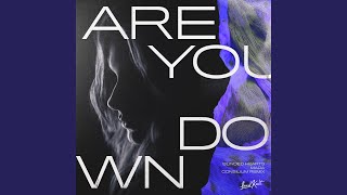 Are You Down (Consilium Remix)