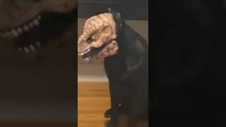 Jurassic dog | funny dog | funny & cute pets