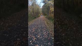 SKATING Down DANGEROUS Hill That Almost BROKE MY KNEE! #shorts #skating #stunts