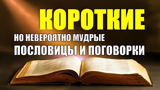 Короткие, невероятно мудрые пословицы и поговорки. #мудрость #пословицы #позитив