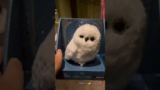 Hedwig harry potter|Wizarding World of Harry Potter|#shorts