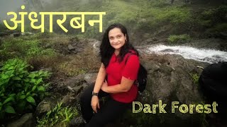 ANDHARBAN JUNGLE TREK | DARK FOREST KUNDALIKA VALLEY | अंधारबन BEST PLACE TO VISIT IN MONSOON