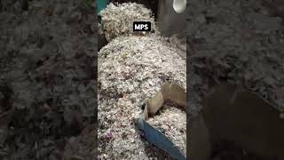 Transparent plastic grinding #wastemanagement #plastic #scraps #crushing #machines@MANIYARPLASTICS