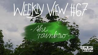 Weekly View #67 ~ The Rainbow I Papaju - Tree Vlog