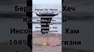 Хайрли кеч !!!!!!!!