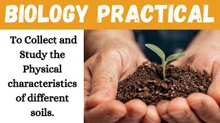 To Collect and Study the Physical characteristics of different soils II Biology Practical