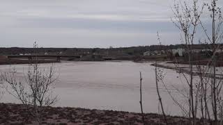 Tide upriver past new bridge on Moncton side. Moncton NB, Canada. May 5, 2021.