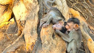 OMG, Mother Rany Rejects Old Mother Emila Not To Climb Up, Emila Trying Hard To Go Ahead