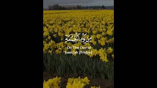 يا ايها الذين امنوا اذا نودي للصلاة من يوم الجمعة🌿💛 سورة الجمعة🥀 ماهر المعيقلي 🌻✨