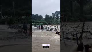 Kerala Rain Updates 2023 | Kottayam #rain #rainyday