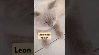 Leon mode "ngalah"