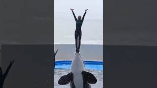 dolphin ......omg। #shortsfeed #shortvideos #shorts #viral