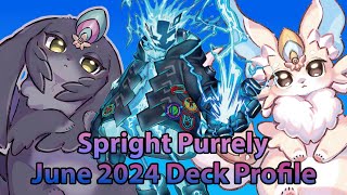 Purrely Sugary Memory | Spright Purrely Deck Profile | Yugioh June 2024