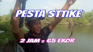 pesta strike mancing pinggiran. #mancingpinggiran . mancing gulama