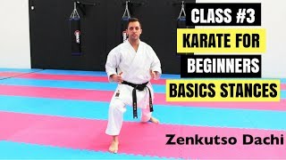 Martial Arts for Beginners – Lesson 3 / Basic Karate Cobra Kai - Strong Stances