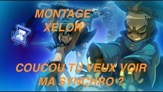 MONTAGE SYNCHRO XELOR