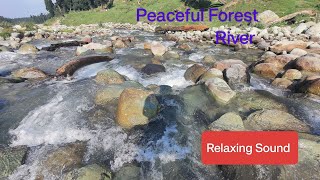 Relaxing sound of Forest River - Peaceful Forest River - HD 1080p - Nature Video