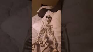 mr scull part 3 dying for sleep