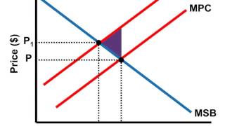 Negative Externalities - AP Microeconomics