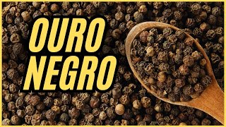 Pimenta do Reino: Conheça o Potencial de Lucro do Ouro Negro