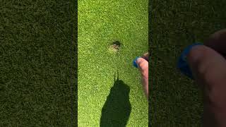 Fix you pitch ball mark right #getbacktogolf #golf