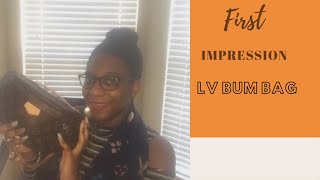 FIRST IMPRESSIONS & WIMB: LV BUM BAG