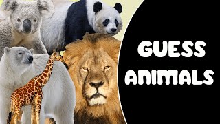 (Animal Quiz) How Well Do You Know the Animal Kingdom?