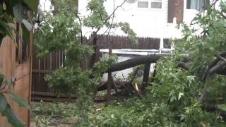 Hurricane Irene Destroys My Backyard!!!!