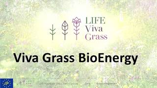 How to use "Viva Grass BioEnergy" module of "Viva Grass Integrated Planning Tool"