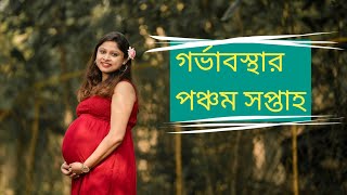 Pregnancy weekly update- 5th week| In Bengali | গর্ভাবস্থার পঞ্চম সপ্তাহ