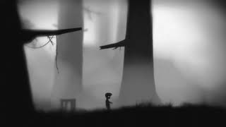 Level 4 / Limbo game (Based on the latest version of the game for PC)