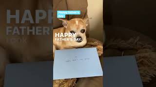 Happy father’s day #chihuahua  #happyfathersday2022