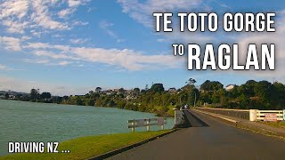 Driving New Zealand: Te Toto Gorge to Raglan 4k | Scenic drive