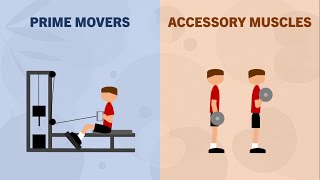 How to Calculate Volume for Accessory Muscles