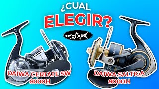 CUAL ELEGIR CERTATE SW O SALTIGA 2020?