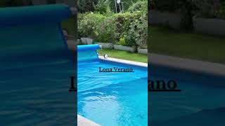 ¿cubrir la piscina con una lona ¿Cuál elegir? #shorts