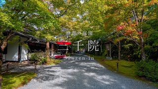 【京都の庭園】三千院｜ Sanzen-in【Kyoto Japanese Garden】