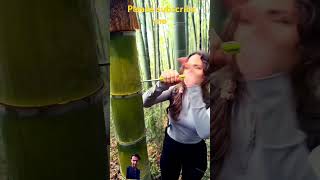 #nature #bamboo #bushcraft #satisfying #wood #survival #outdoors #viral #lifehack  #30subscribersme