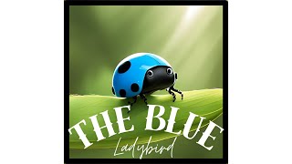 THE BLUE LADYBIRD - VIDEO 78