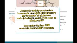 ammonia toxicity page 82|first aid USMLE|fcps part-1 preparation|cpsp favorite BCQUES