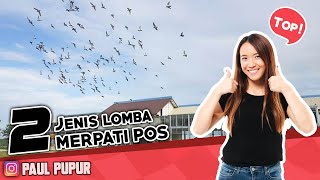 2 JENIS LOMBA MERPATI POS DI INDONESIA #PEMULA WAJIB TAHU