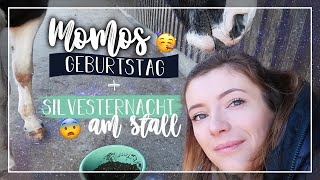 In der SILVESTERNACHT am Stall 😨 | Momo's GEBURTSTAG 🥳 // A&G HorseDiary