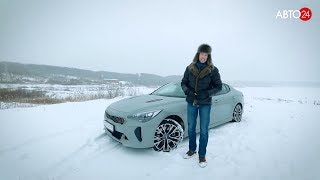 KIA Stinger не нужно консервировать на зиму в гараже!