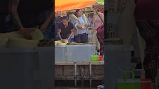 Traffic jam, snakes, and loud motors in floating market Thailand #boats #crazy #interesting #shorts