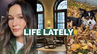 Life Lately: let's catch up! fall outfits and new beauty discoveries | ttsandra