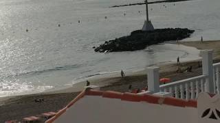 Tutti a Playa de las Vistas per vedere il tramonto