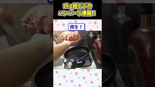 【2ch面白いスレ】1kgの超どデカバンバーグ作ったったwwwwww